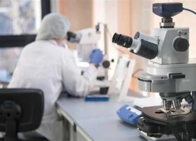 تولید داروهای احتمالی برای درمان کرونا در موسسات علوم روسیه