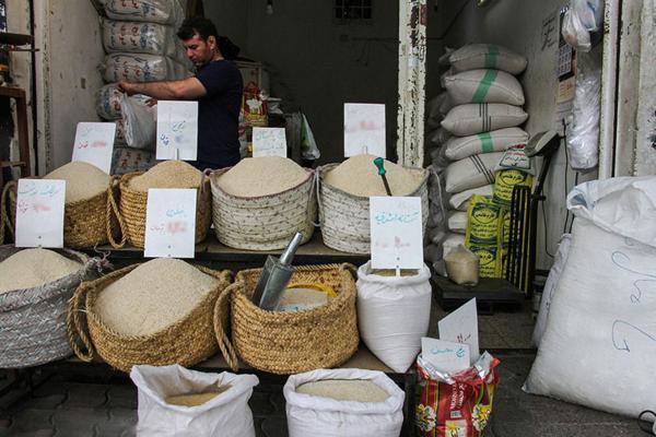 قیمت برنج به کمتر از 80 هزار تومان می رسد؟