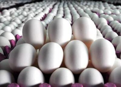 نرخ مصوب تخم مرغ اعلام شد ، قیمت هر شانه 30 عددی چند شد؟